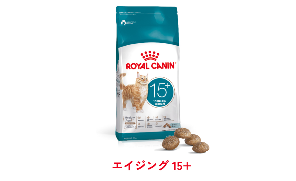 エイジング 15+