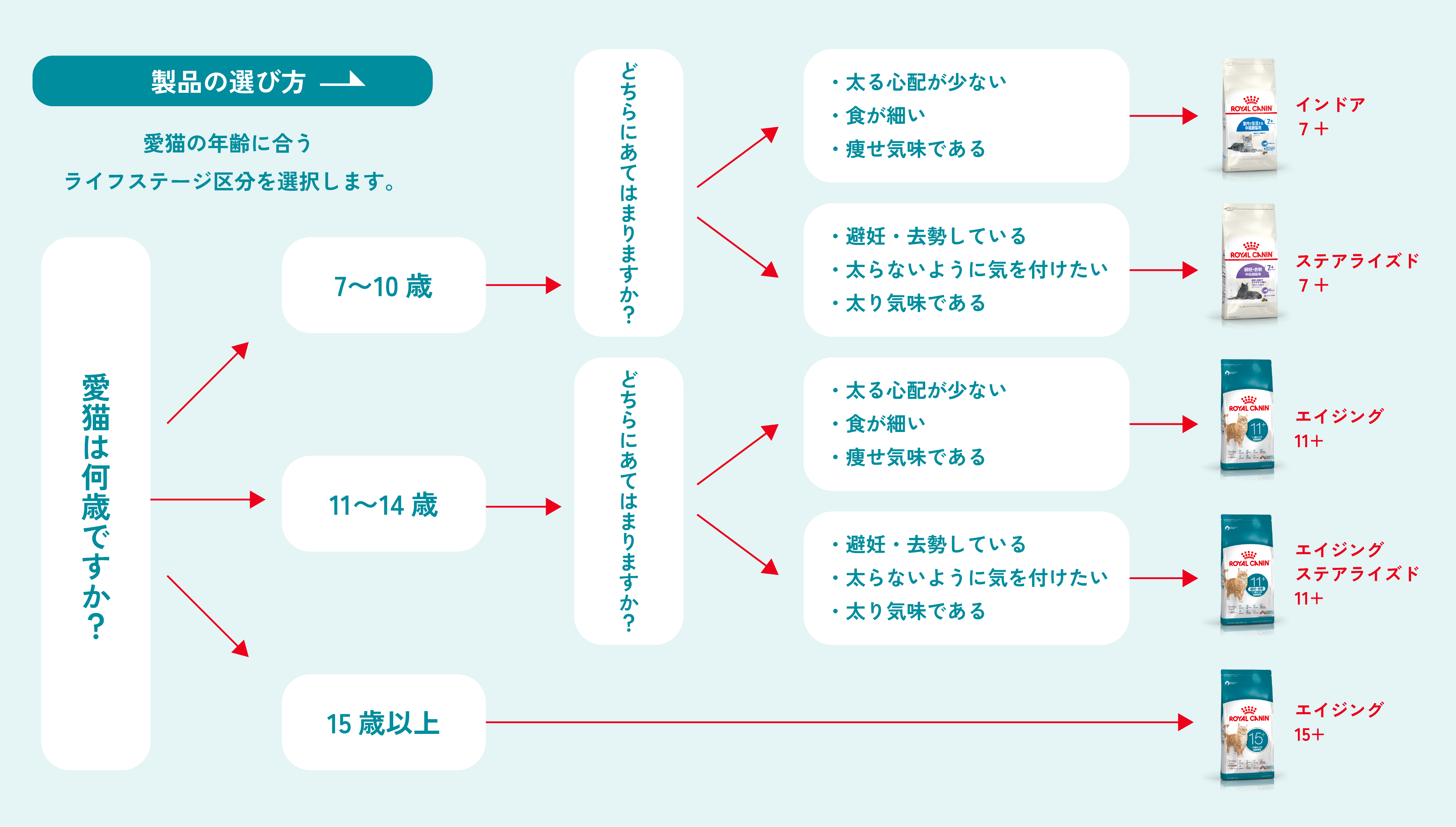 製品の選び方 チャート画像