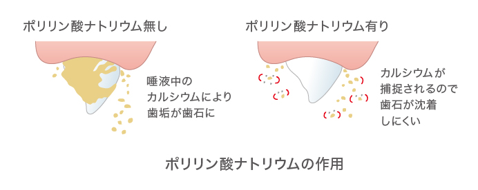 ポリリン酸ナトリウムの作用