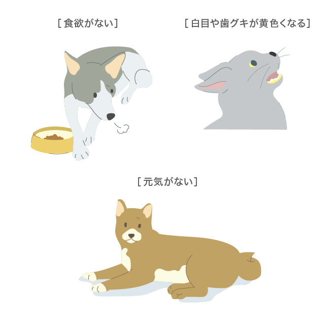 肝臓病が疑われるサイン